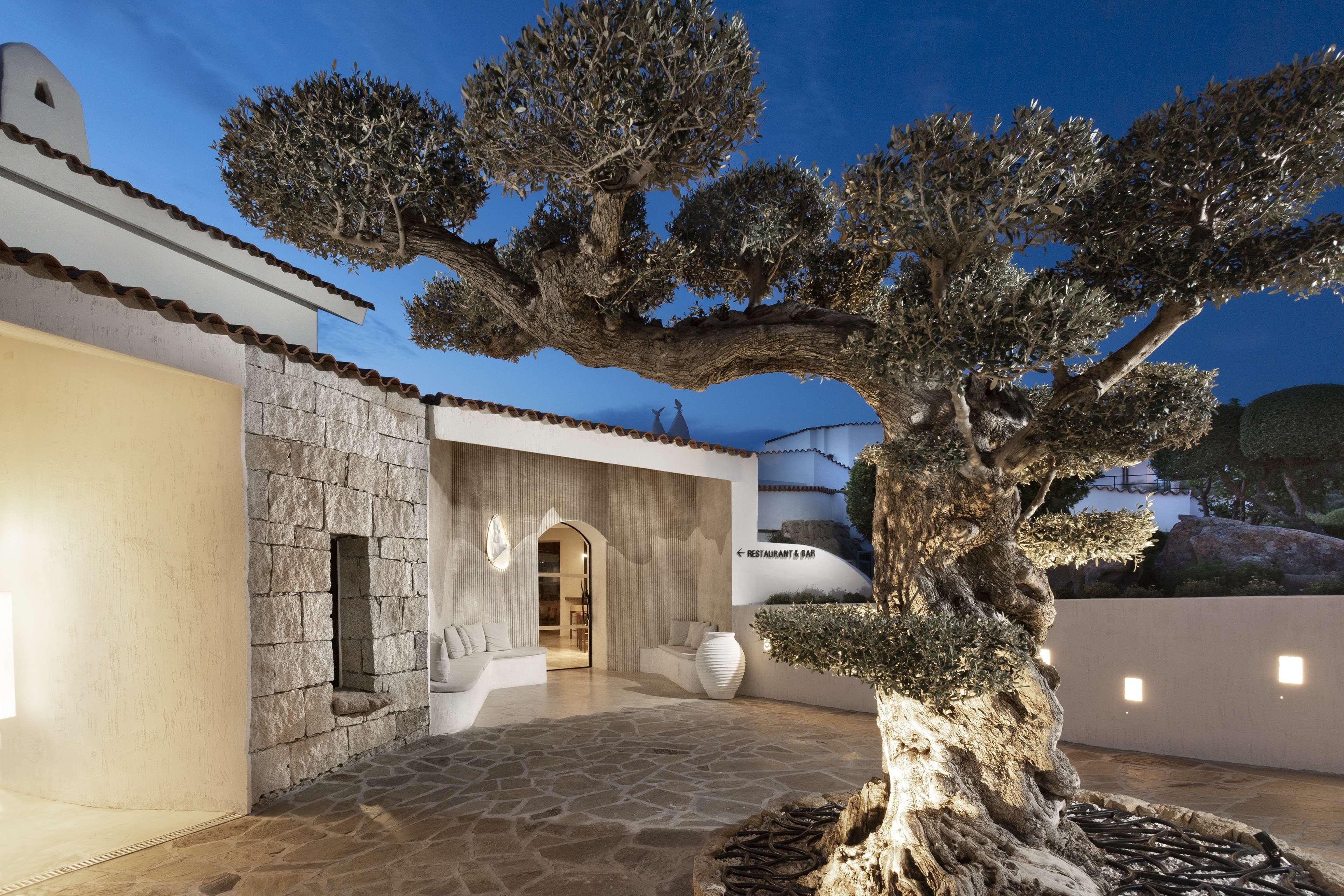 Sulia House Porto Rotondo, Curio Collection By Hilton Hotel Bagian luar foto